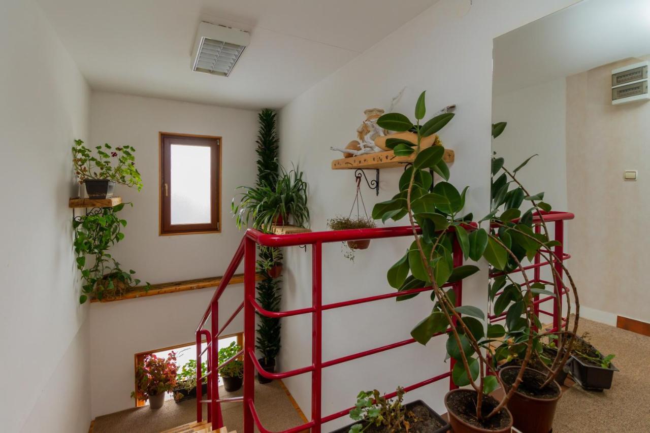 Apartmani Nika Zlatibor Dış mekan fotoğraf