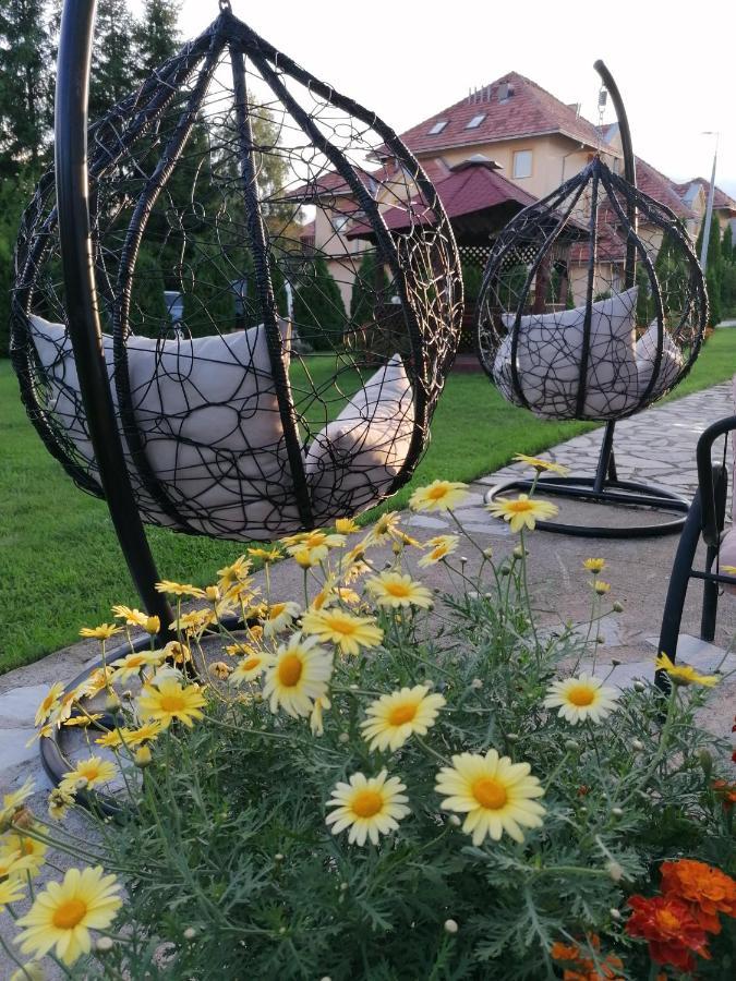 Apartmani Nika Zlatibor Dış mekan fotoğraf