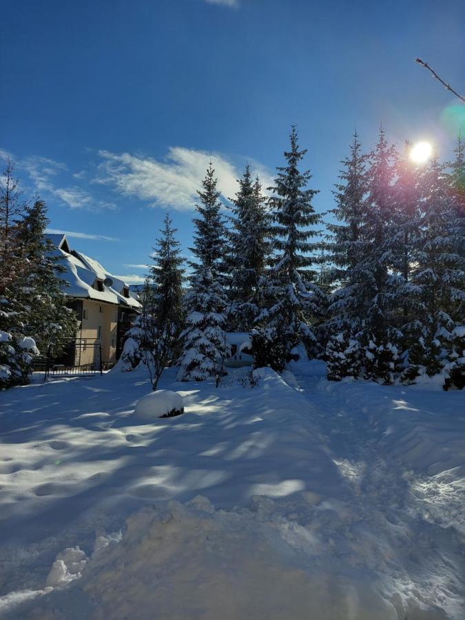 Apartmani Nika Zlatibor Dış mekan fotoğraf