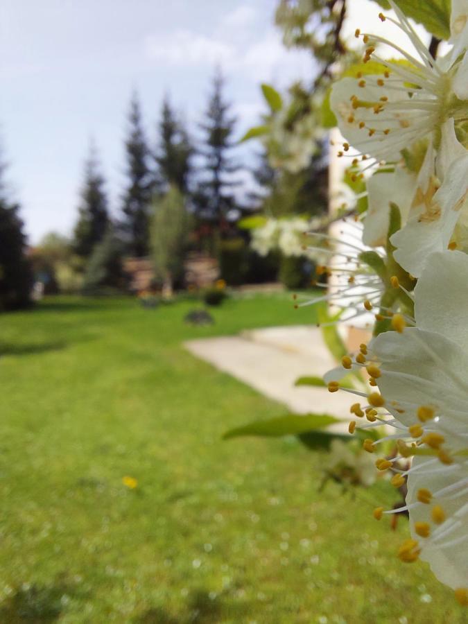 Apartmani Nika Zlatibor Dış mekan fotoğraf
