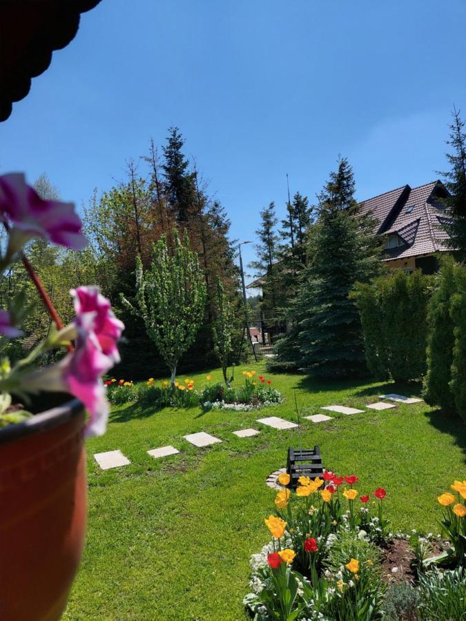 Apartmani Nika Zlatibor Dış mekan fotoğraf