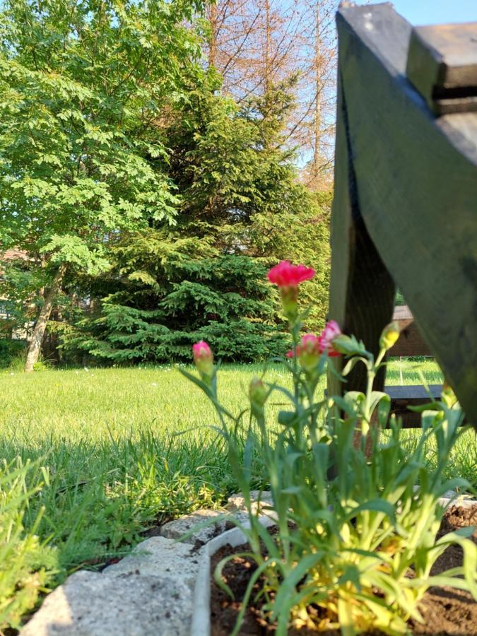 Apartmani Nika Zlatibor Dış mekan fotoğraf