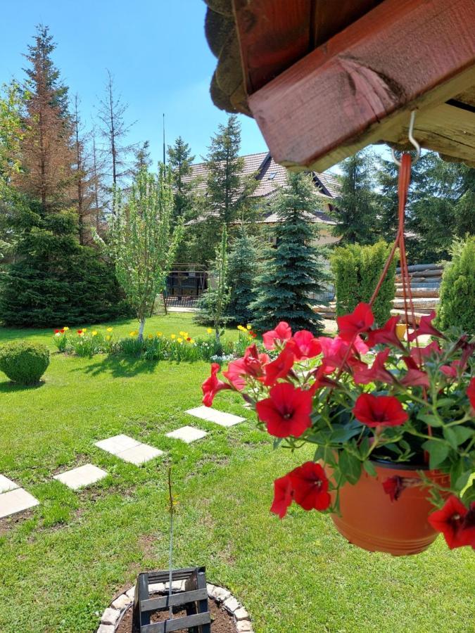 Apartmani Nika Zlatibor Dış mekan fotoğraf