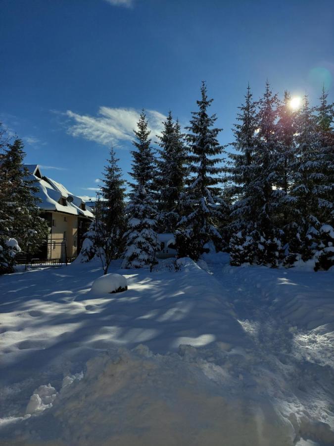 Apartmani Nika Zlatibor Dış mekan fotoğraf
