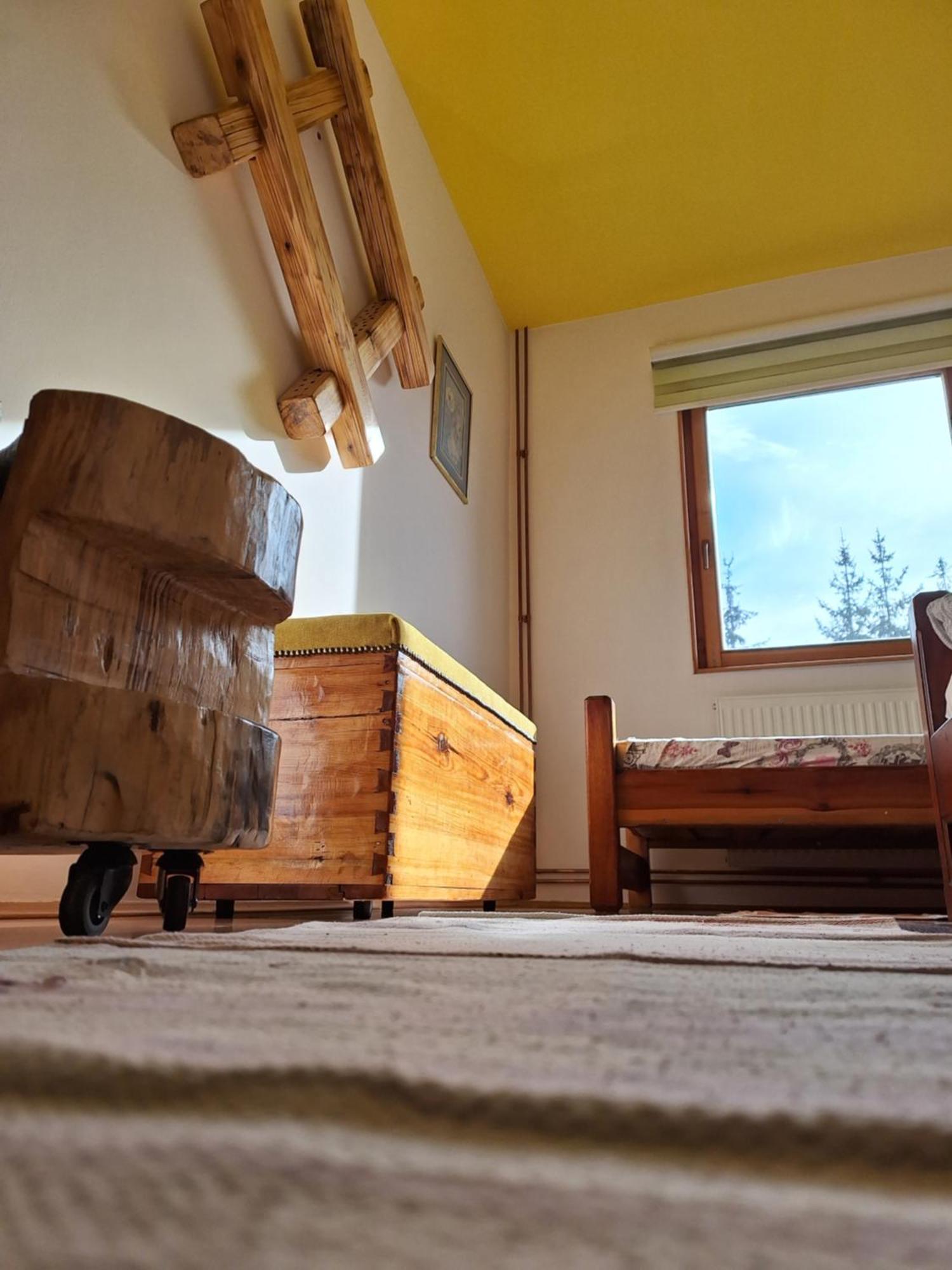 Apartmani Nika Zlatibor Dış mekan fotoğraf