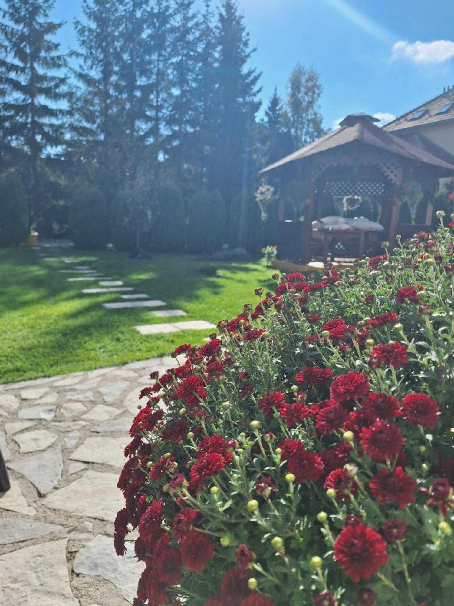 Apartmani Nika Zlatibor Dış mekan fotoğraf