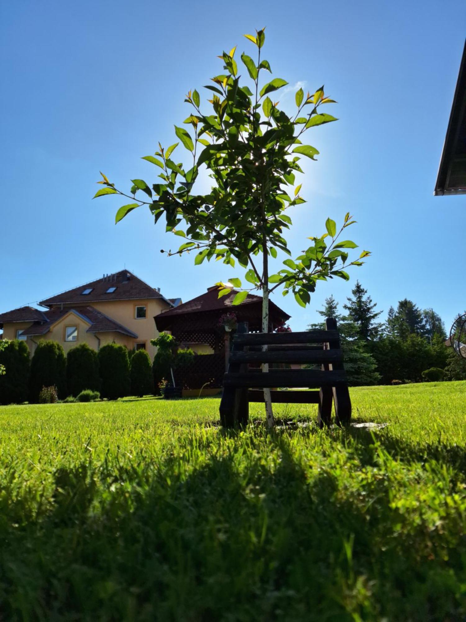 Apartmani Nika Zlatibor Dış mekan fotoğraf