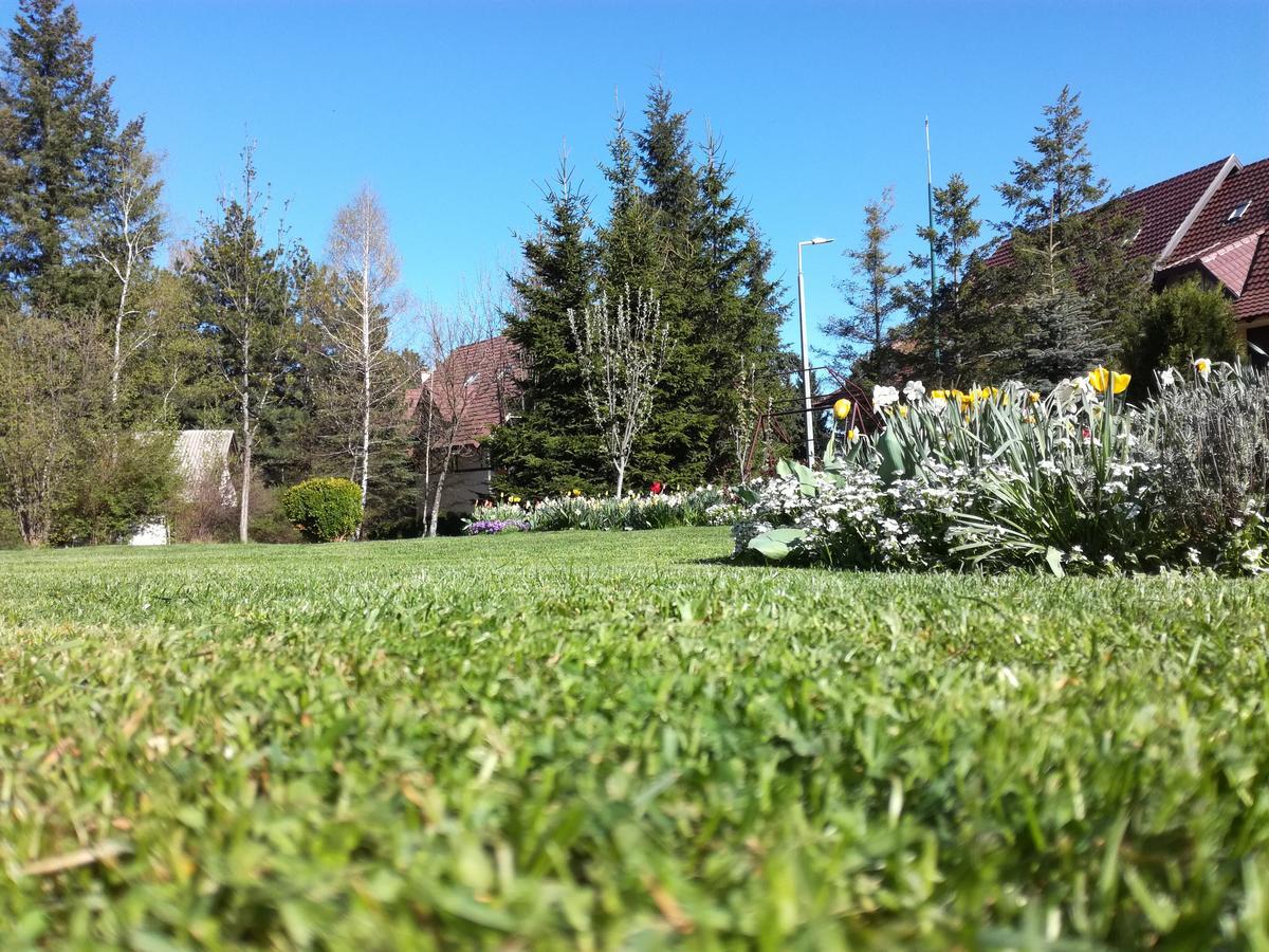 Apartmani Nika Zlatibor Dış mekan fotoğraf