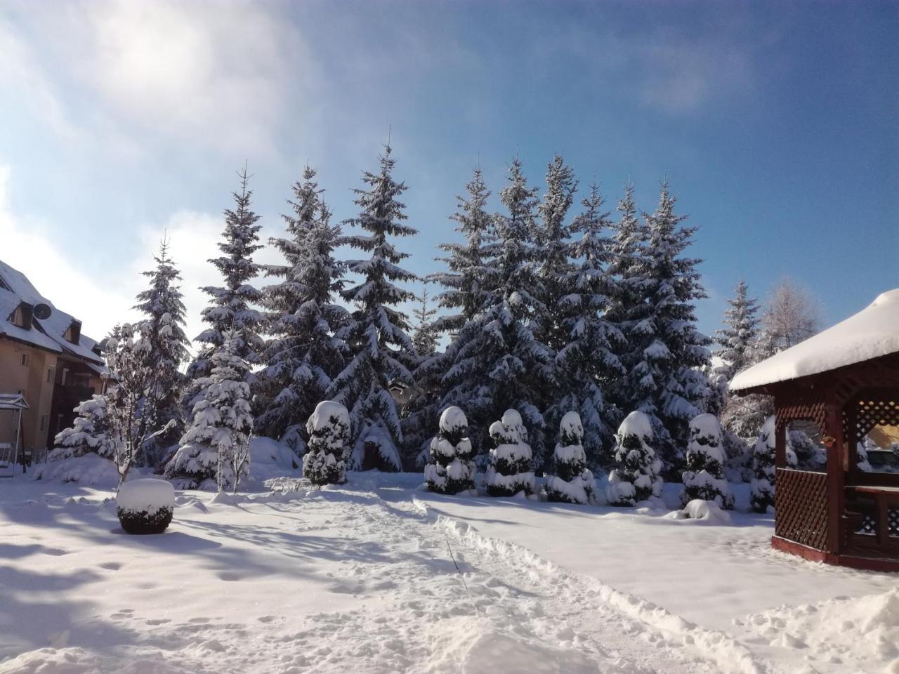 Apartmani Nika Zlatibor Dış mekan fotoğraf